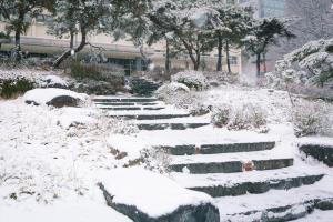 2025년 R[라파엘]관 북문 계단길 설경 관련사진