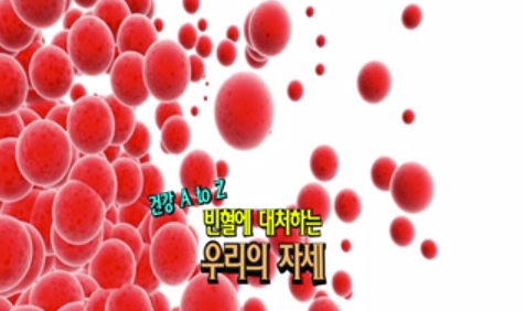 빈혈에 대처하는 우리의 자세