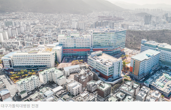 [대구일보] 올해 한 걸음 더 도약한 대구가톨릭대병원 이미지