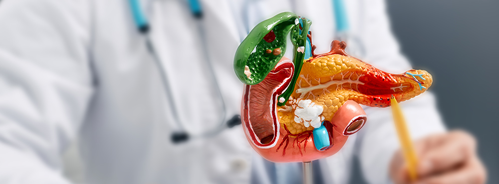 췌장담도센터 : 최고수준의 의료진 전문적연구, 치료