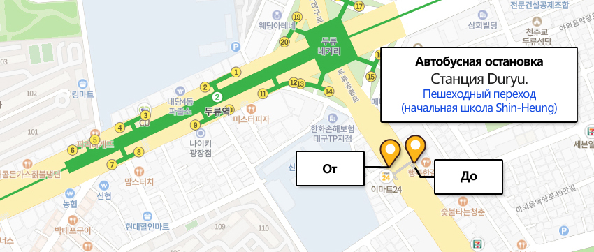 빨강색선(503) : 계명대학교-조달청-달성고-두류네거리-대구가톨릭대학교병원-안지랑네거리-영대병원네거리-반월당-중앙로역-경대교-경대정문-복현네거리-엑스코-산격대교, 연두색선(623) : 대곡역-월성네거리-서부정류장-대구가톨릭대학교병원-두류네거리-서구청-중앙로역-경대교-연암네거리-복현오거리-성광고등학교, 하늘색선(순환3, 순환3-1) : 범물1동 주민센터-황금고가교-남부정류장-복현네거리-복현오거리-산격중-침산교-노원네거리-만평네거리-북부정류장-대구가톨릭대학교병원-영대병원네거리-중동교, 보라색선(서구1, 서구1-1) : 상리동-중리네거리-달서초교-만평네거리-노원네거리-북비산네거리-내당역-대구가톨릭대학교병원-서부정류장-본리초교-대구의료원-서대구공단 노선안내